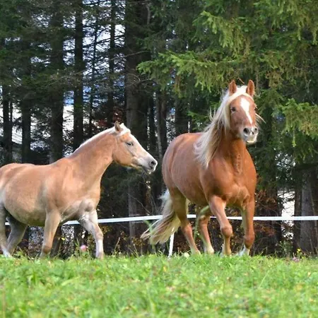 Penzion Mooserlehen