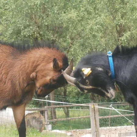 Penzion Mooserlehen